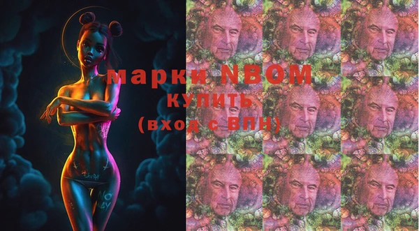 трава Гвардейск