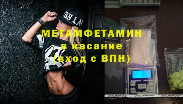 прущие грибы Губаха