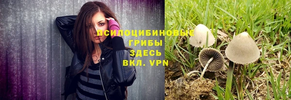 мдпв Вуктыл
