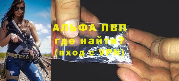 трава Гвардейск