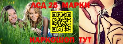 молекула духа Берёзовский