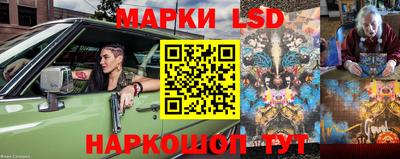 шишки Балашиха