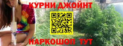 молекула духа Берёзовский