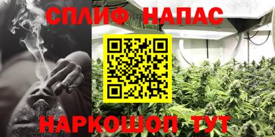 мяу мяу мука Беслан