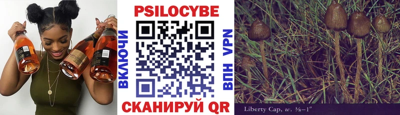 купить наркотики цена  нарко площадка состав  Галлюциногенные грибы MAGIC MUSHROOMS  Гурьевск 