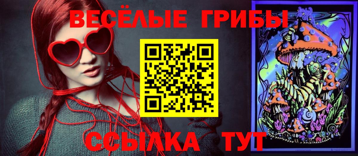 Псилоцибиновые грибы мицелий  закладка  Гурьевск 