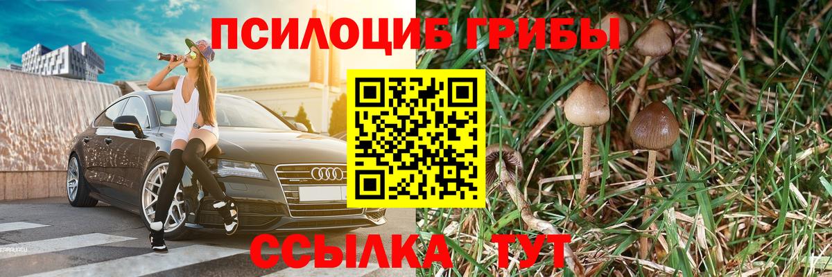 Псилоцибиновые грибы мухоморы Гурьевск