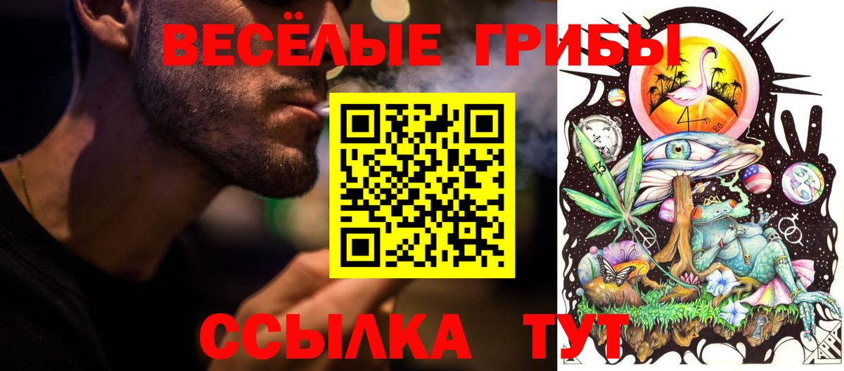 Галлюциногенные грибы Psilocybe Гурьевск